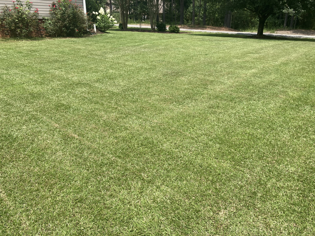 458F52C1-98E3-4E51-97C1-1D922A15737D