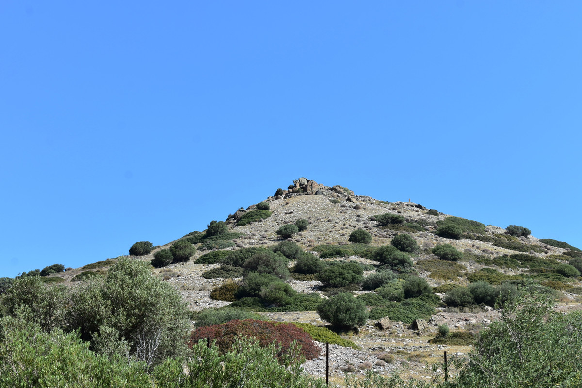 Αρχαίο Θέατρο Θορικού (14)
