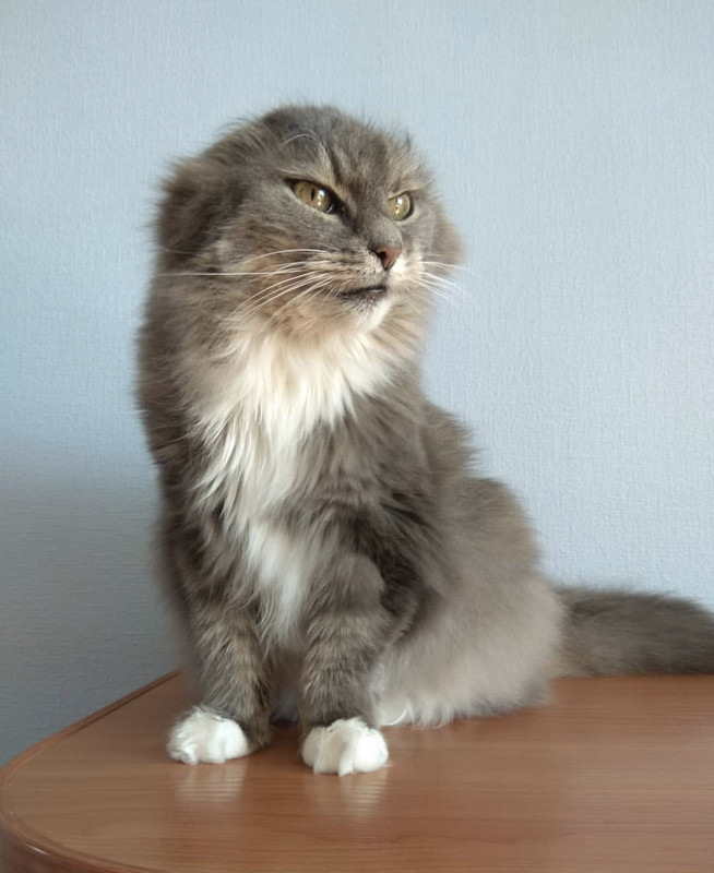 B02A05CC-4A57-43B8-8025-6B0E78E2AC53