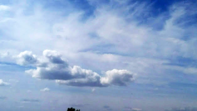 IMG-2019-05-23-095642.jpg
