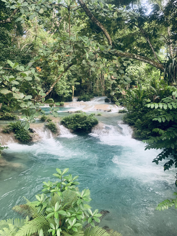 CF8C4E82-029E-4621-8FF7-C34A0CDDFA61