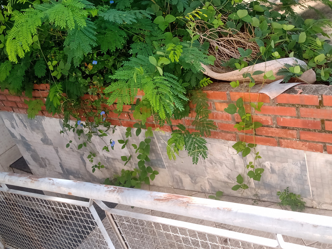 IMG-20240112-075919166