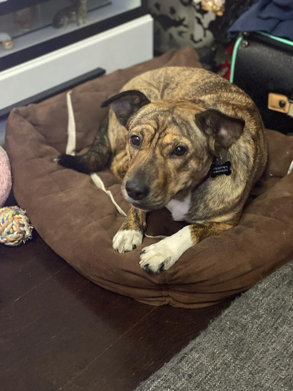 25FAA98E-78C3-494A-B903-EE58E5F765F7