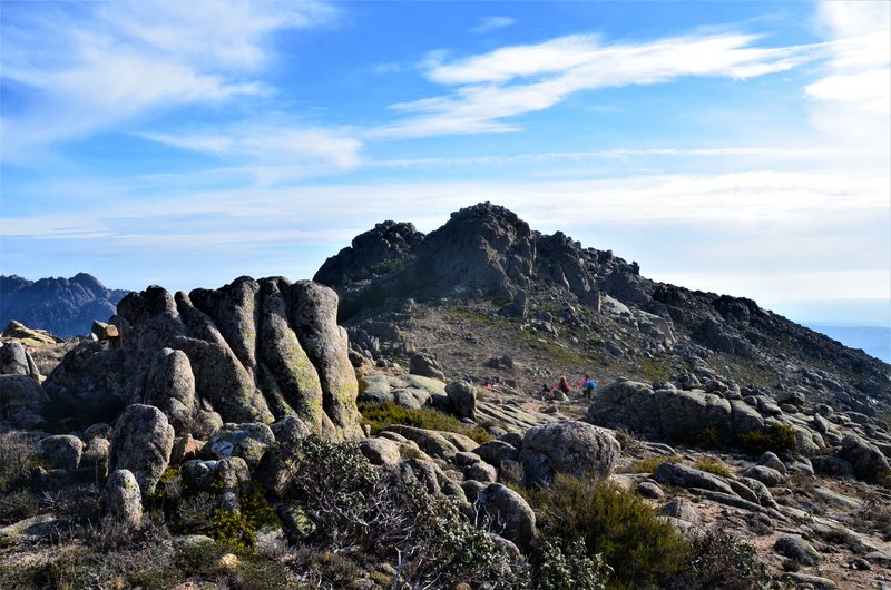 RUTA LOS PORRONES-11-1-2014-MADRID - Paseando por España-1991/2016 (31)