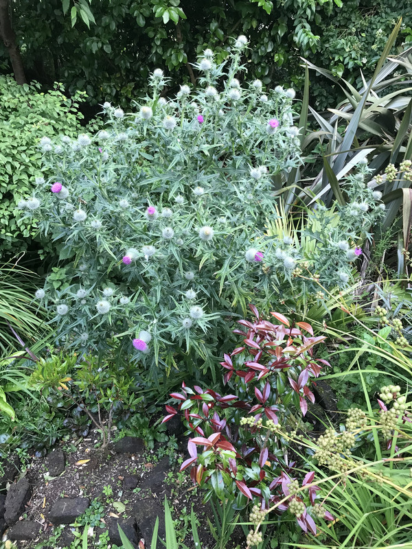 75984949-BCC9-42C3-984C-DB881BE7F5FF