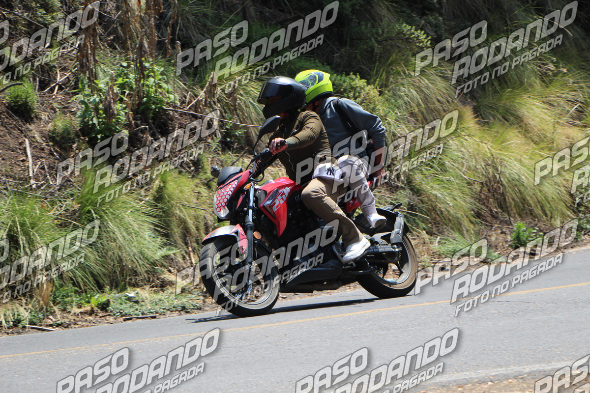 IMG 7873 wm 2688296 8 watermarked — Postimages
