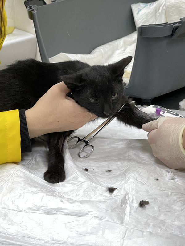 270E3169-F27E-433C-BD2A-A5C60D2FA2DE