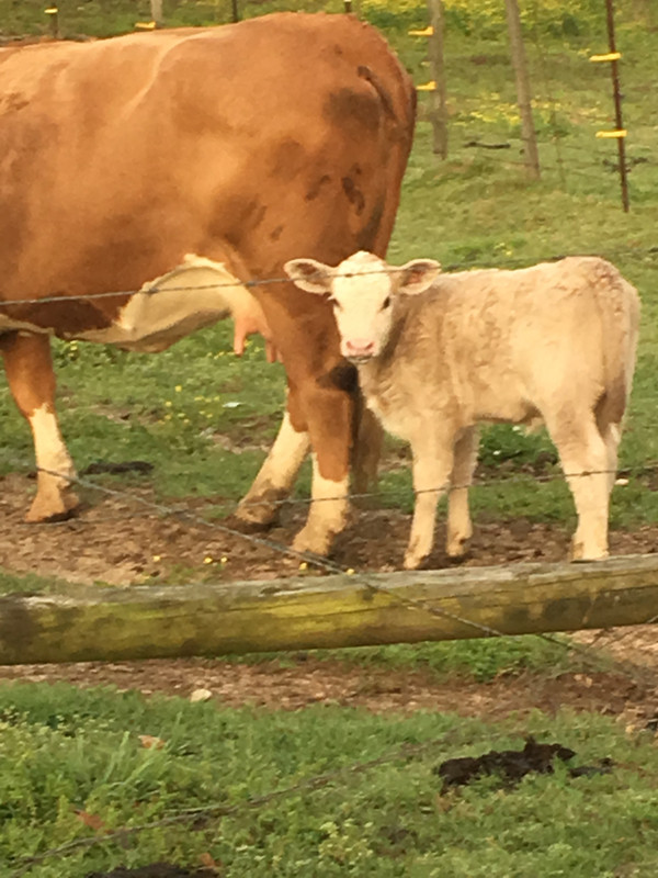 067D1835-B22C-422A-AD2B-995E192998E6