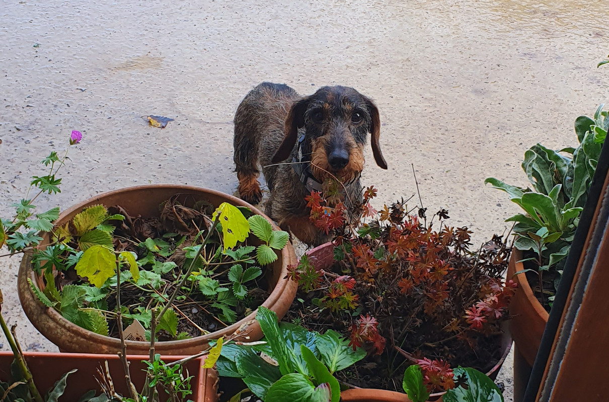 [Image: 20221125-160048.jpg]