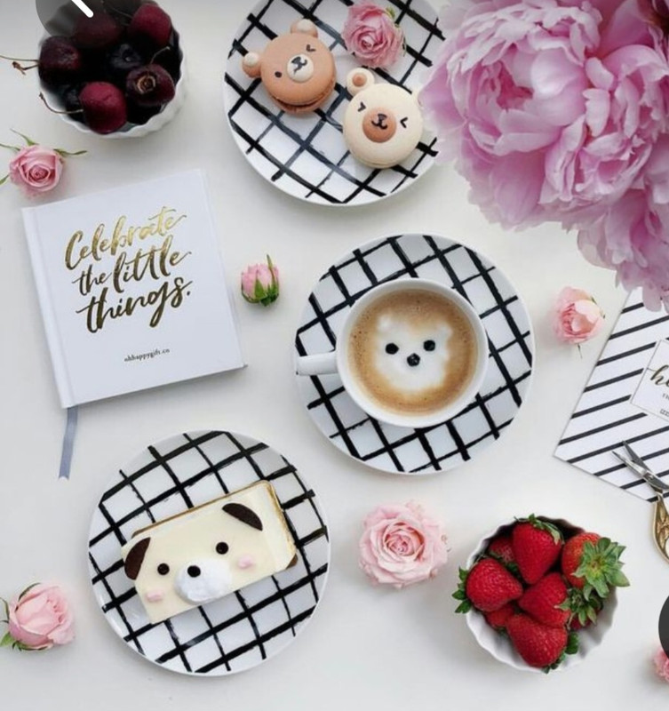 Screenshot_20230227_234256_Pinterest