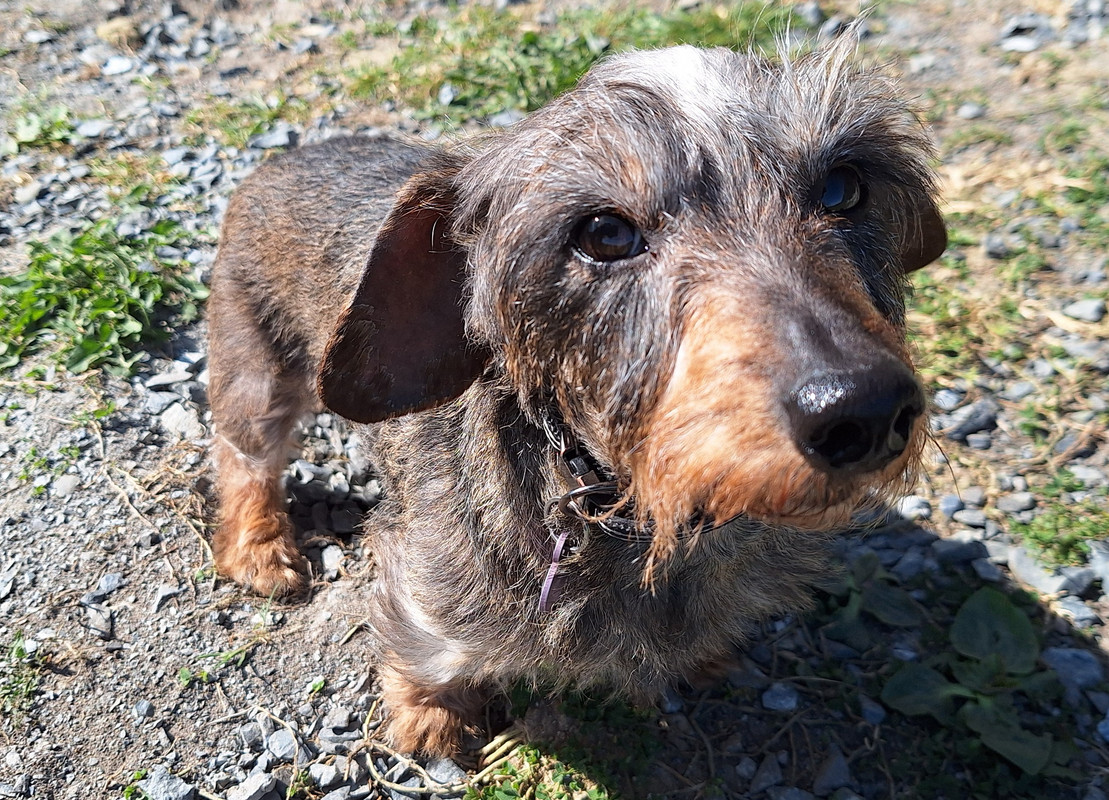 [Image: 20250409-112302.jpg]