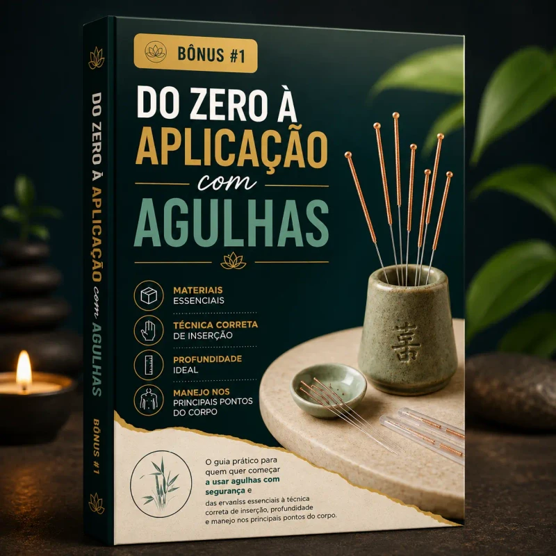 Bônus 1 · Do Zero à Aplicação com Agulhas