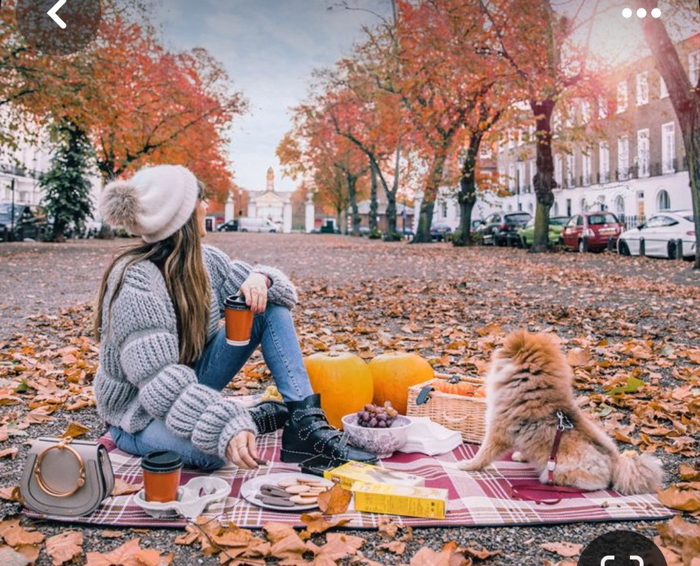 Screenshot_20231130_234956_Pinterest