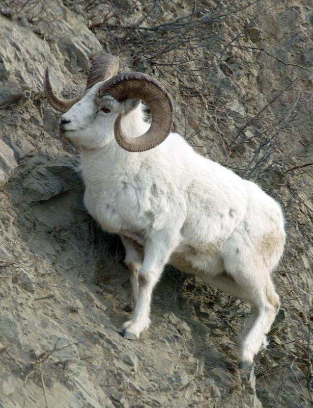 F7CE9027 B8C6 4CB6 AC8E 3F795D893E64