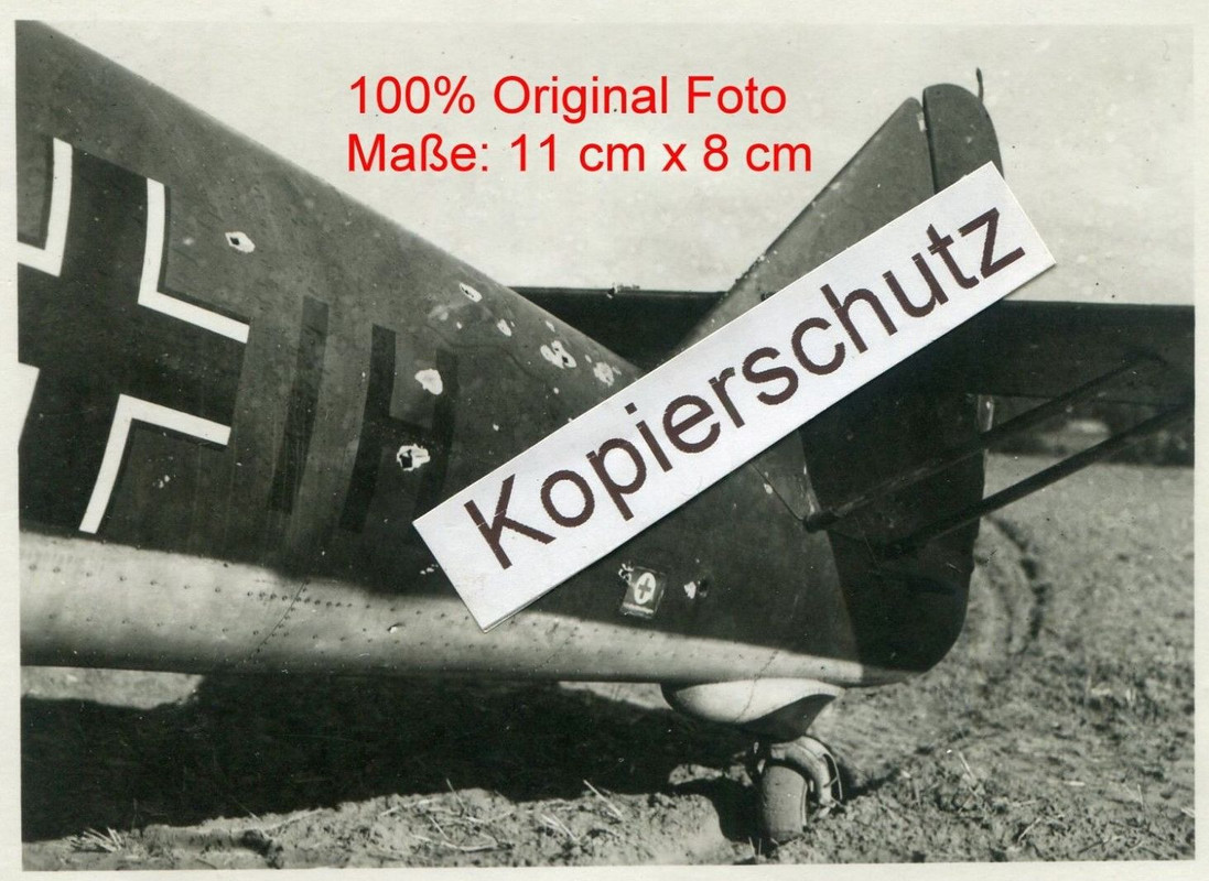 in Oschen Osno Polen (4)