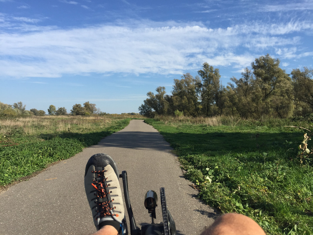 [Afbeelding: Biesbosch.jpg]