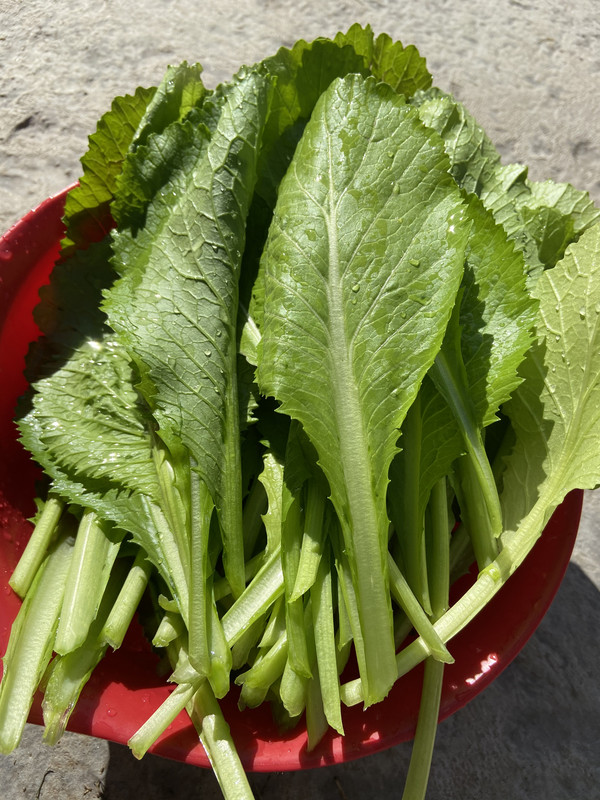 491FBD33-D474-4A41-B278-972C64400932