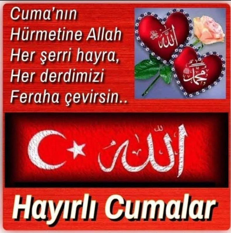 resim