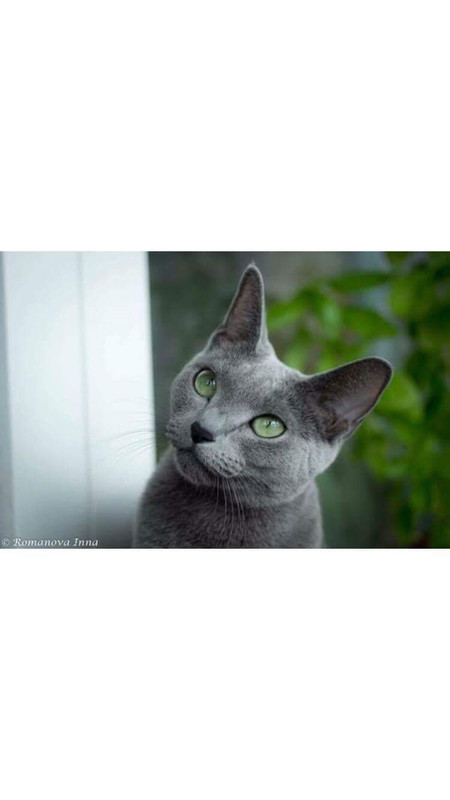 76F75795-10AC-40D8-9B27-5471E760A42D