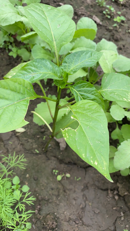 A0A5D841-6FC9-4964-84C8-F0499B066F54