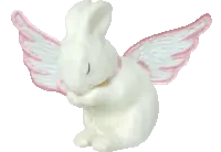 droopy-daisy on Tumblr droopy-daisy on Tumblr