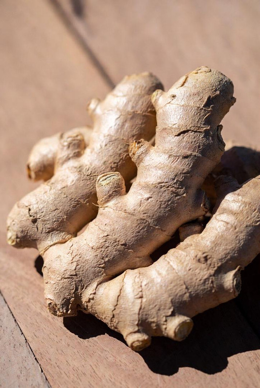 Ginger