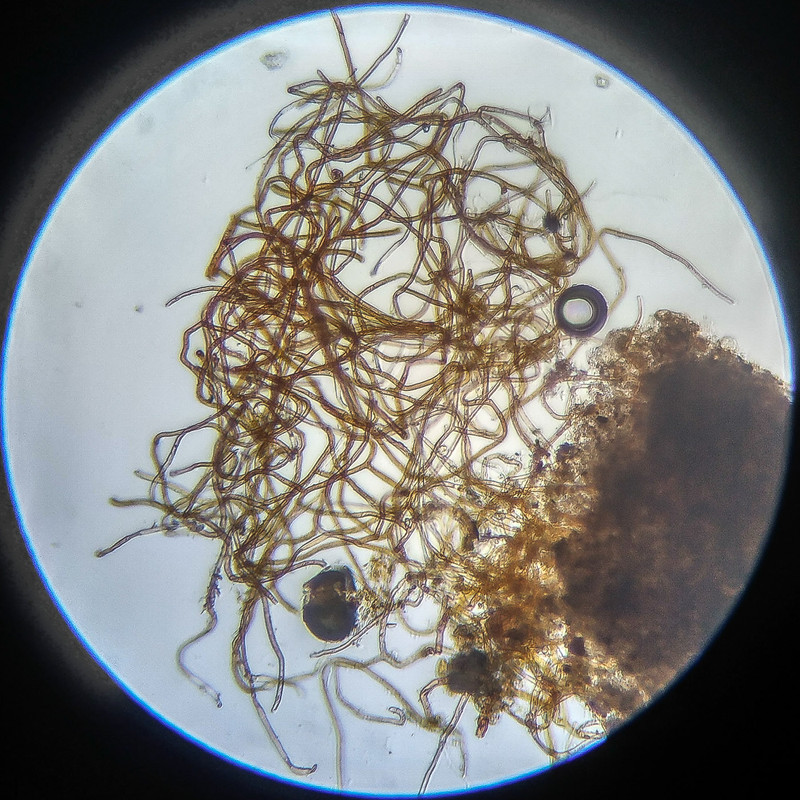 IMG 20250614 112928 HDR