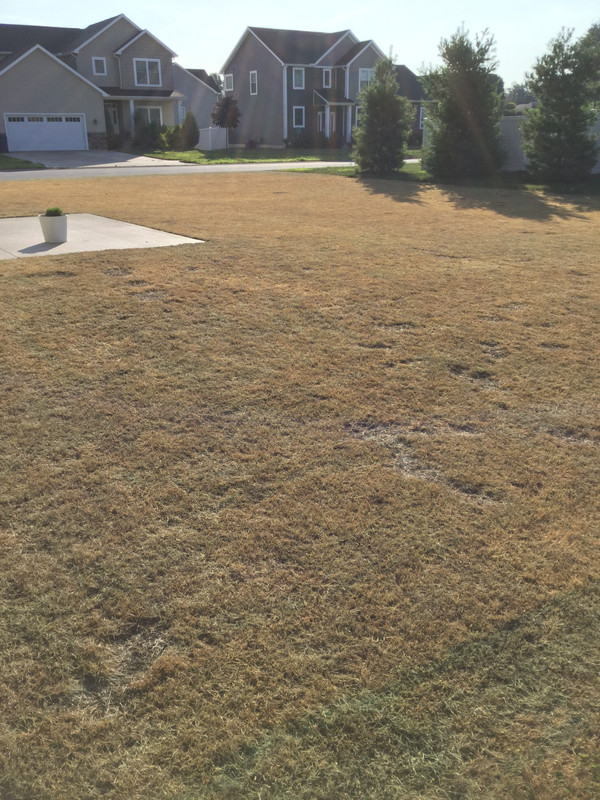 CC1A3743-64C5-4672-A2C5-370735C43222