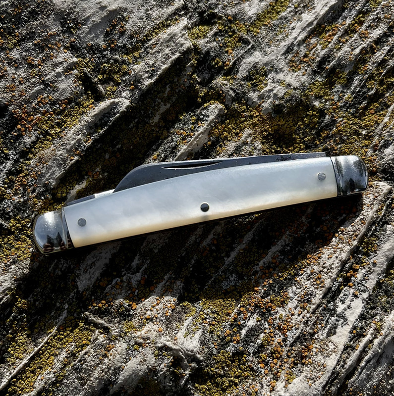 61AE67BF-F0B5-4E42-8812-2FB406698D2B