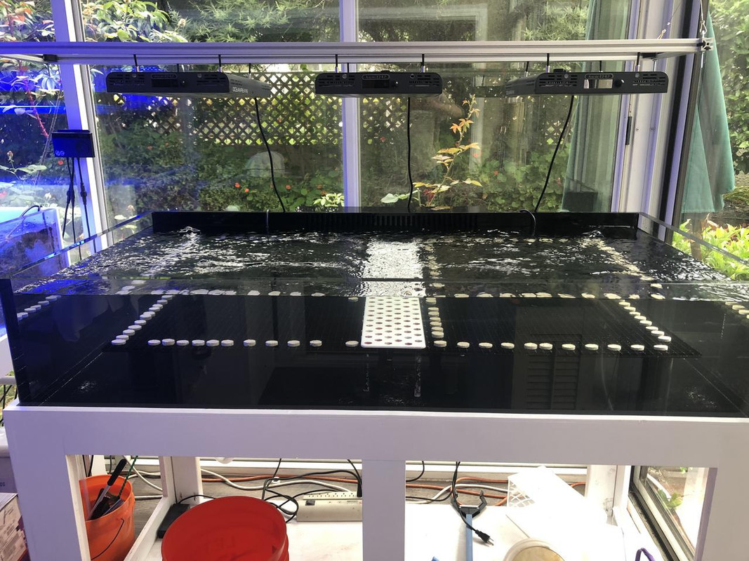 84EE1E0A-3F85-44F4-927B-ABDE41B9507C