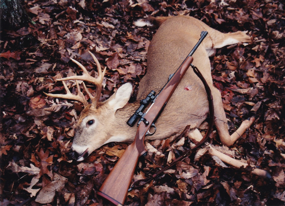 3AE3C720-550A-4860-9103-8EF1673B12E3