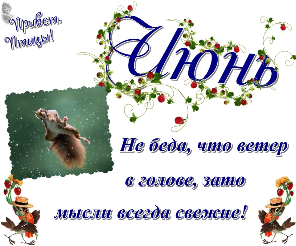 https://i.postimg.cc/MTsZcBps/16-06.png