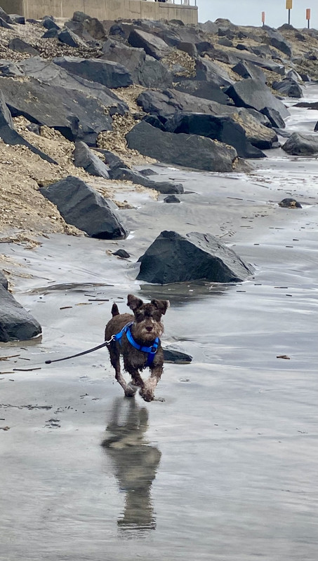 A1579669-BF3D-47A4-8CA7-0DE0B9DADDF1