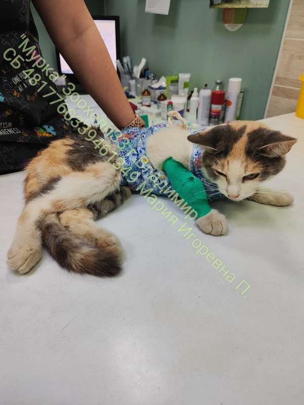 f-BdpDyM3OVCQnLL4L2-UF0UrKwcLzELD5tF_GvrCUHsOX_l7UZW6opGmhXqXQ1N9BIjenEqokLngYDZEp0UrYkg