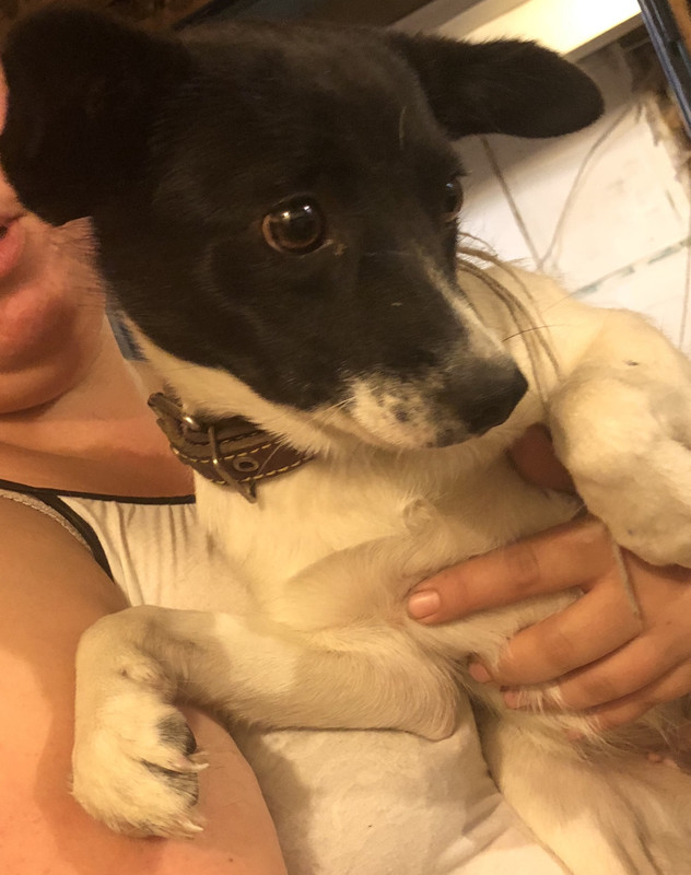 3F22A265-C7FB-4874-A6EC-A69199D52B75