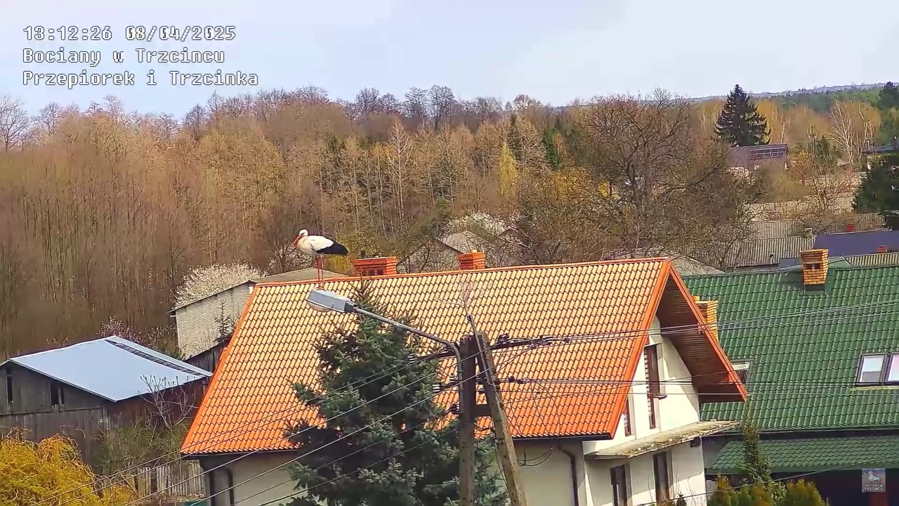 08.04.2025Terytorium Przepiórka_7