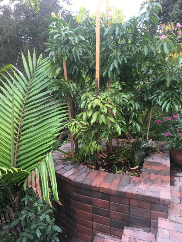 C615191E-8D7E-4BAB-82A5-70D6D4D03823