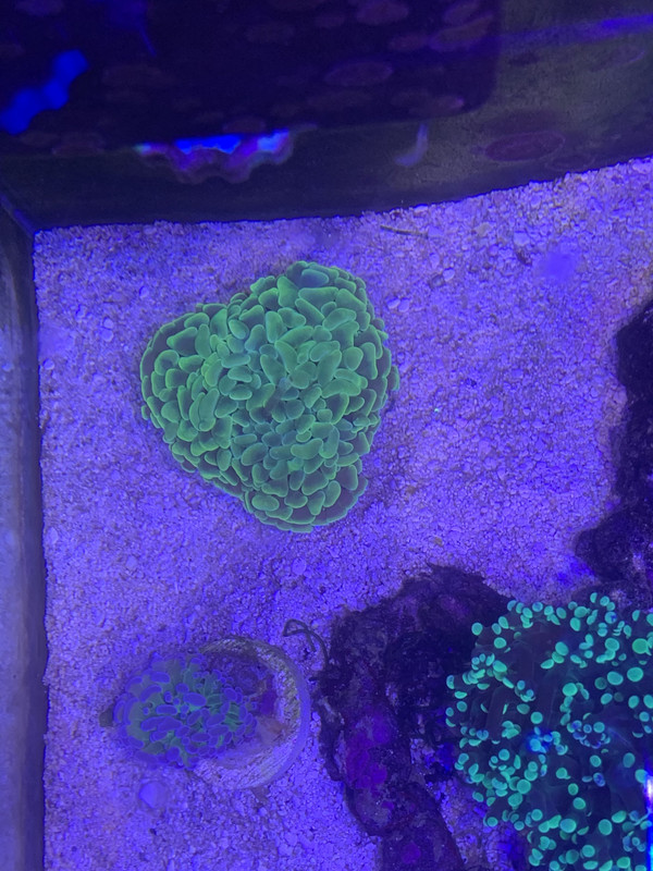 9C3EA851-DE13-4125-800E-D3C86AFF1092