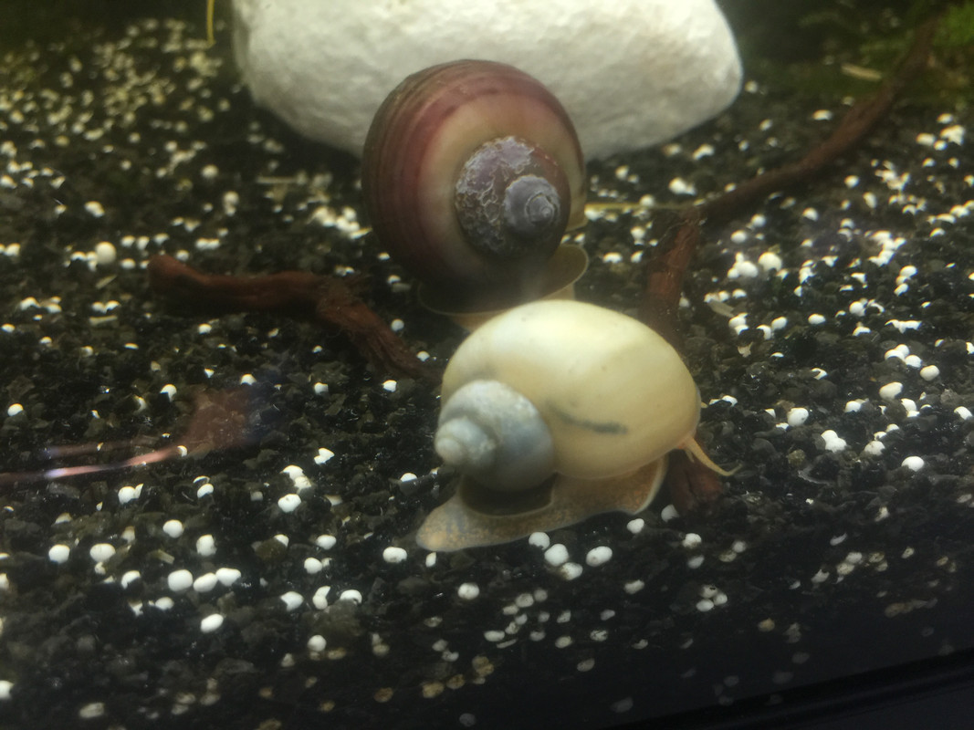 021B9DE3-0C64-4B2B-9116-F7B4D3D4F8BC