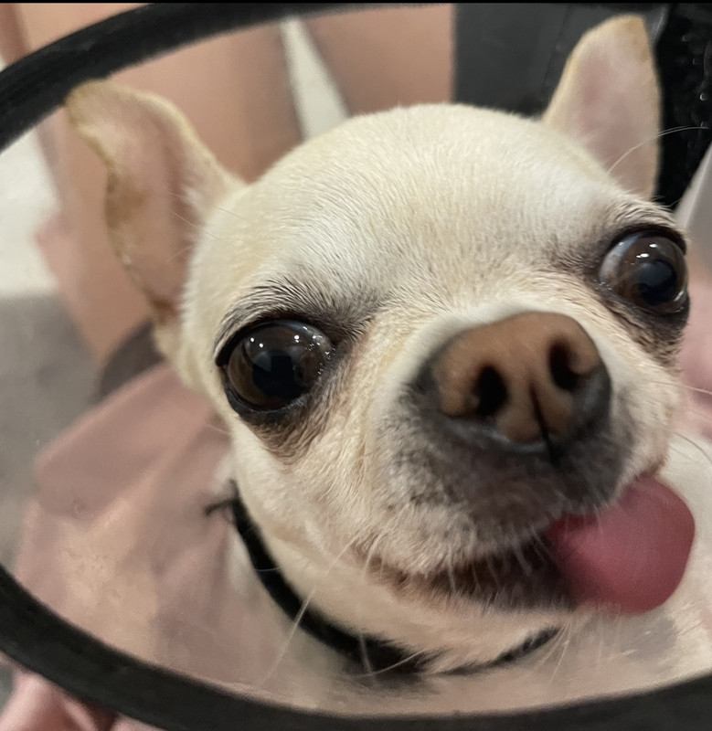 5EAC0F32-0EF1-4B3A-A757-A51A63D8C187