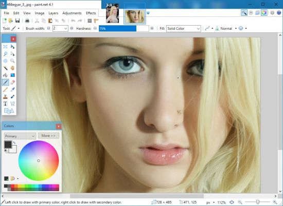 Paint.NET 4.3.6 Multilingual