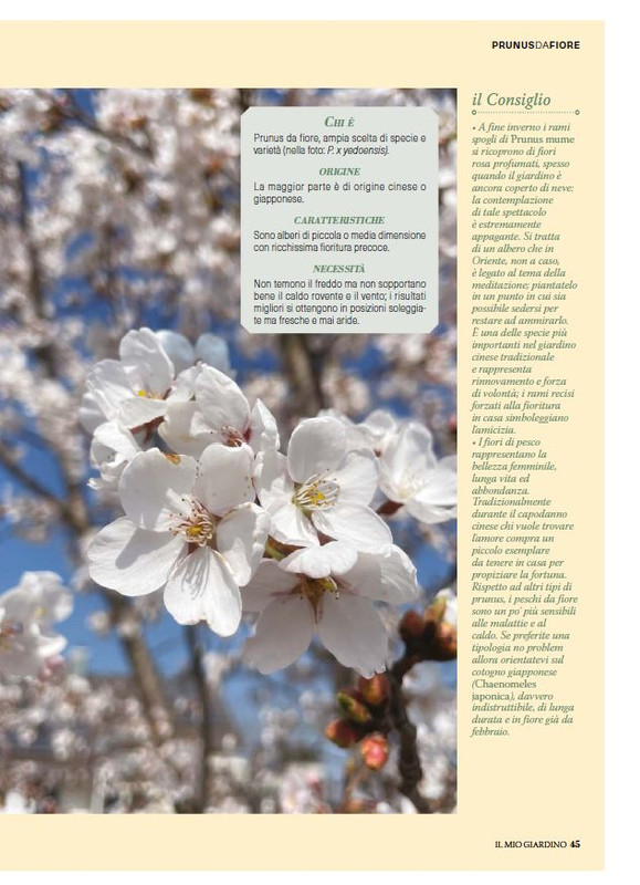 il mio Giar Feb-Mar 2025 (4)