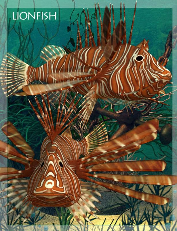 lionfish large