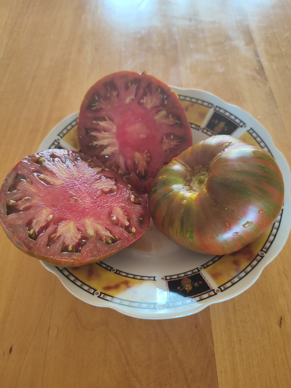 [Слика: IMG-20220817-141147.jpg]