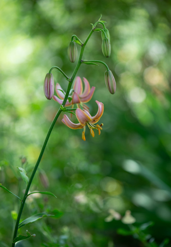 IMG-4d4d57fd685161d7a4762697e06b9db2-V
