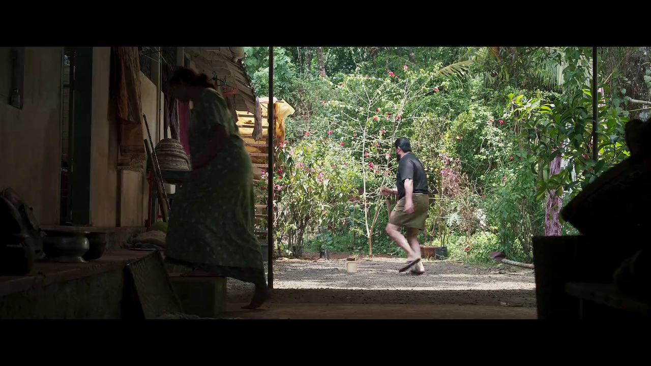 vlcsnap-2025-06-01-15h39m34s629