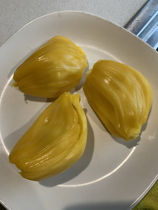 09060823-4D21-40BB-ABF8-A792ED45B403