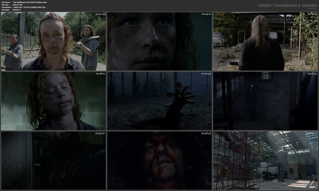 The Walking Dead S10E10 Stalker.mkv