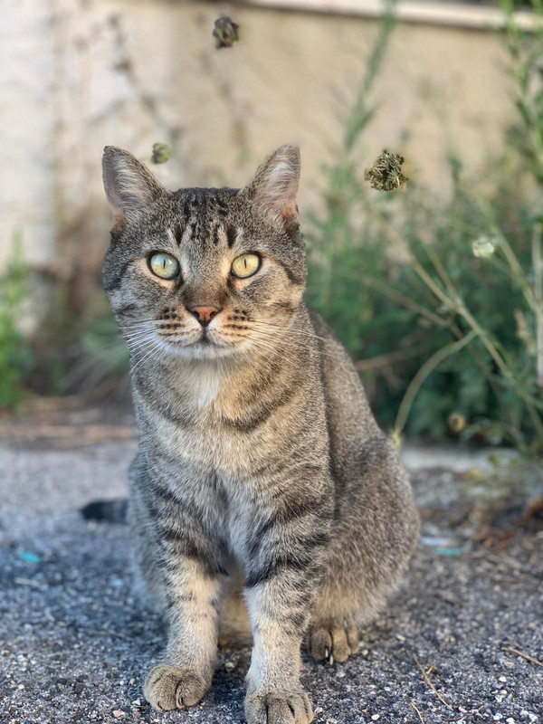 6424D326-5712-47D7-B757-831004317289