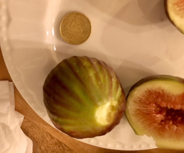 1E775783-9CAE-4569-9DB7-24E2B981A4FE